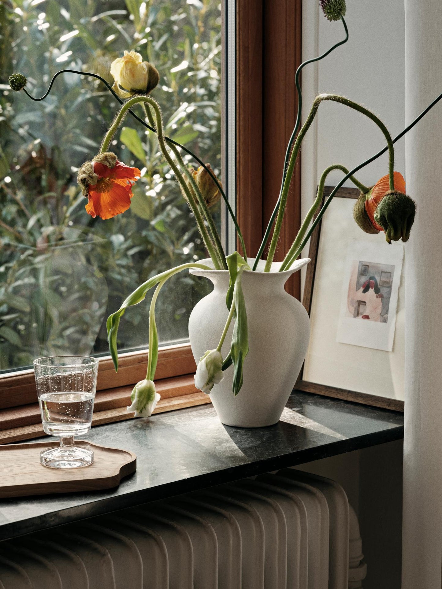 EDGAR Tray S