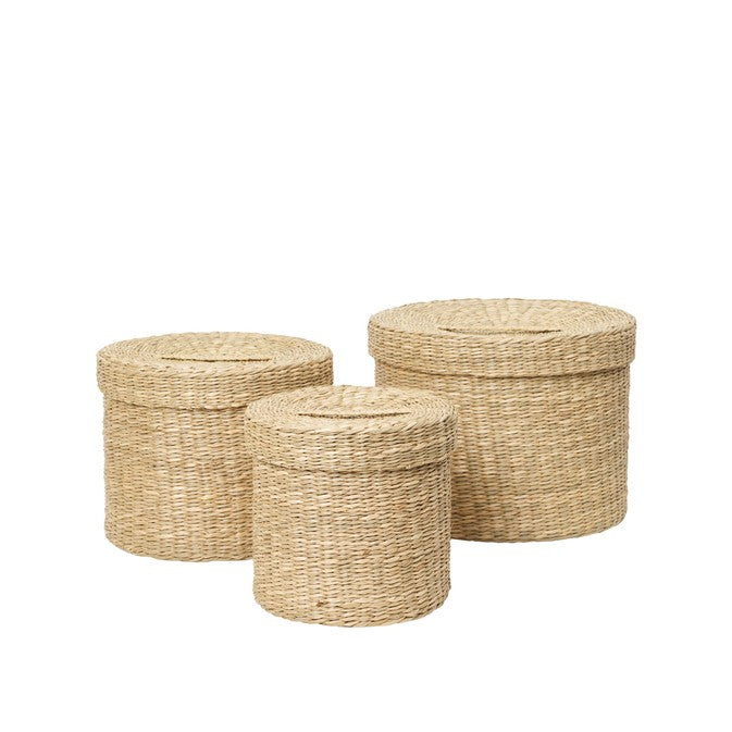 GABY Seagrass Boxes