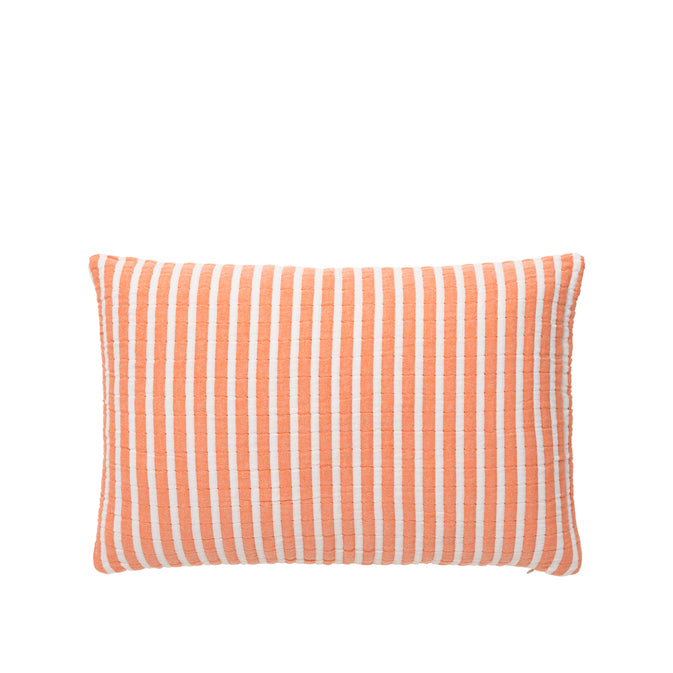 EVI Cushion