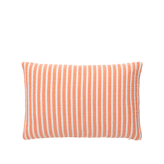 EVI Cushion