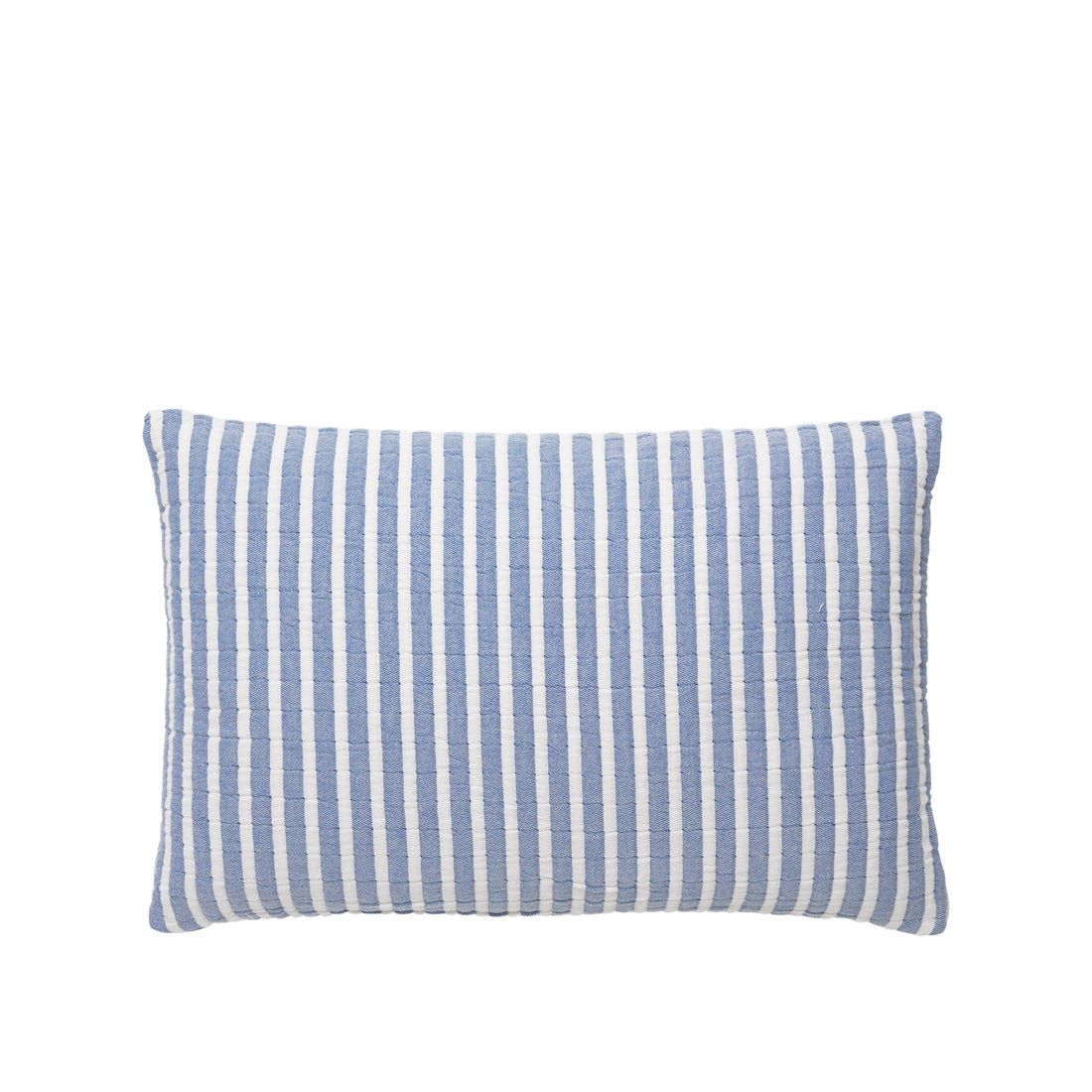 EVI Cushion