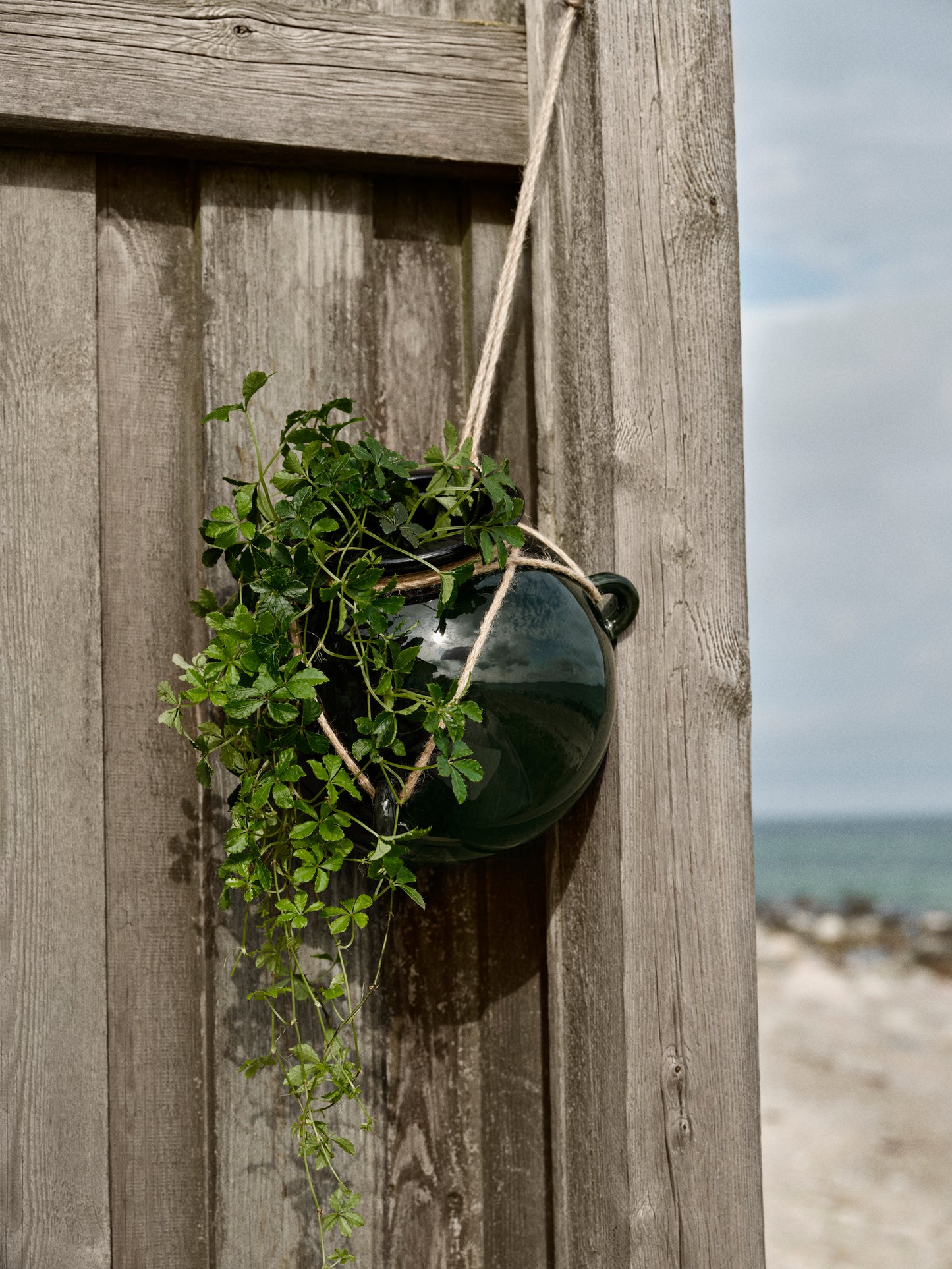EYA Hanging Flowerpot