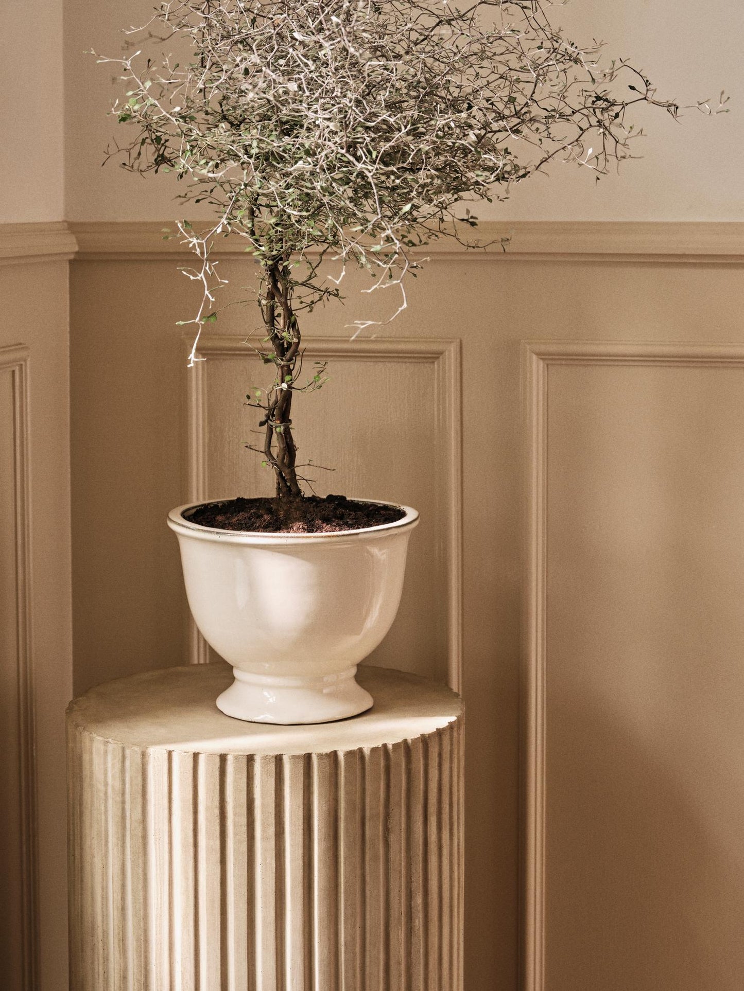 ANNABELLA Flowerpots