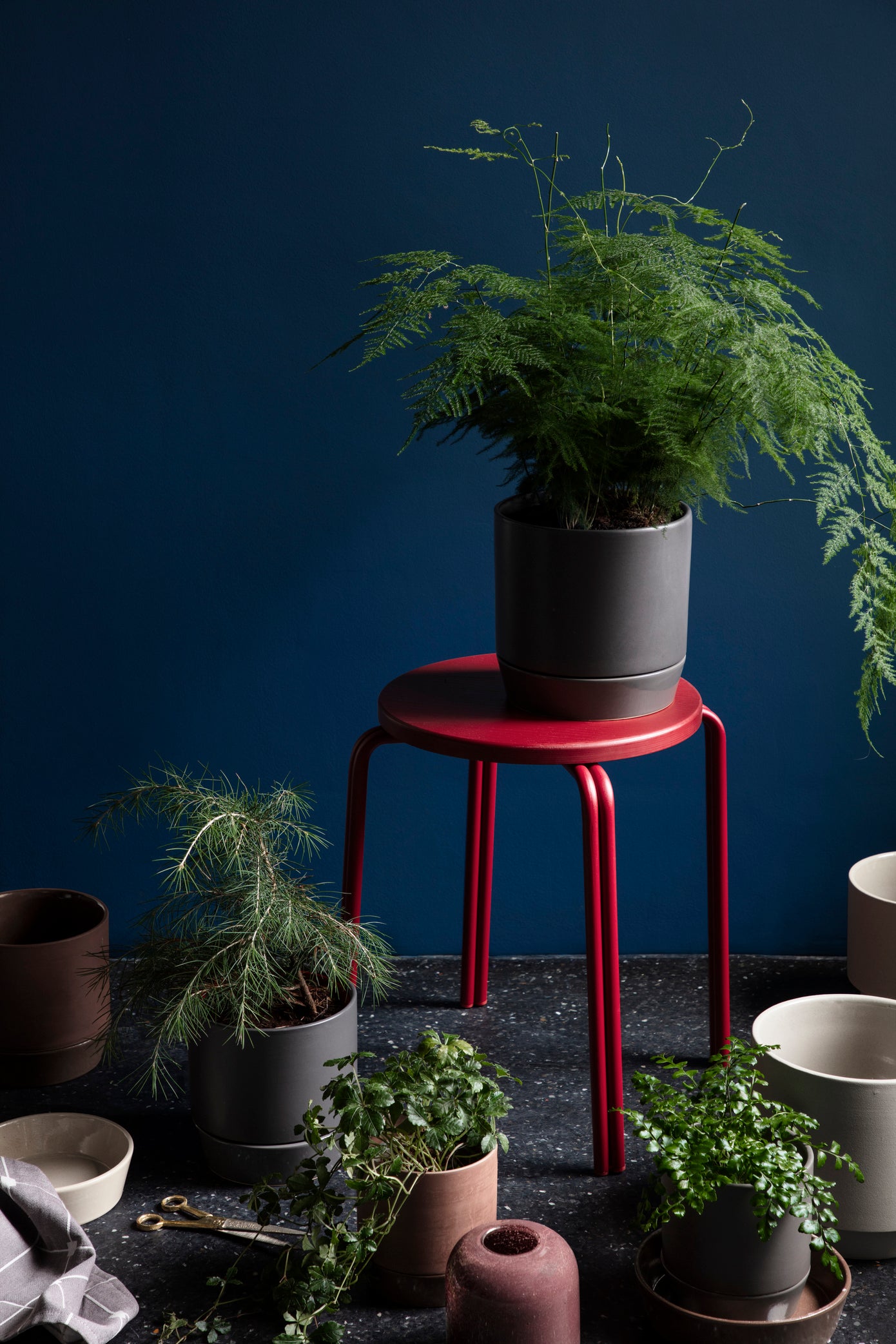 DENISE Flowerpot L