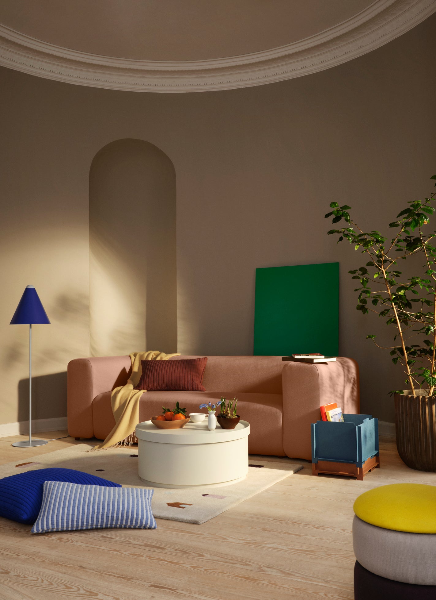 EVI Cushion