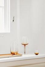AMBER Tumbler